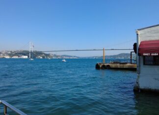 Ayrıntılı bir araştırma hala yok