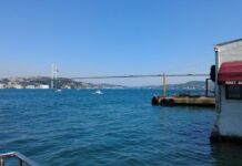 Alican ve Dilucu sınır