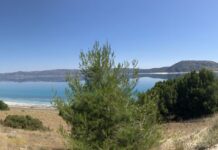 Paleologoslar Dönemi ve Son Bizans Canlanması