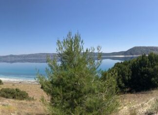 Paleologoslar Dönemi ve Son Bizans Canlanması